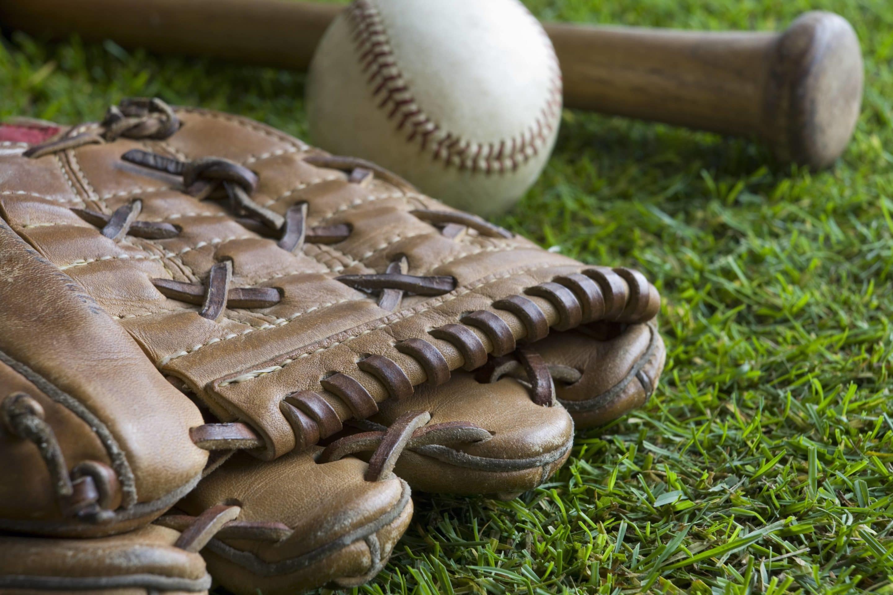 The Best Baseball Gloves 