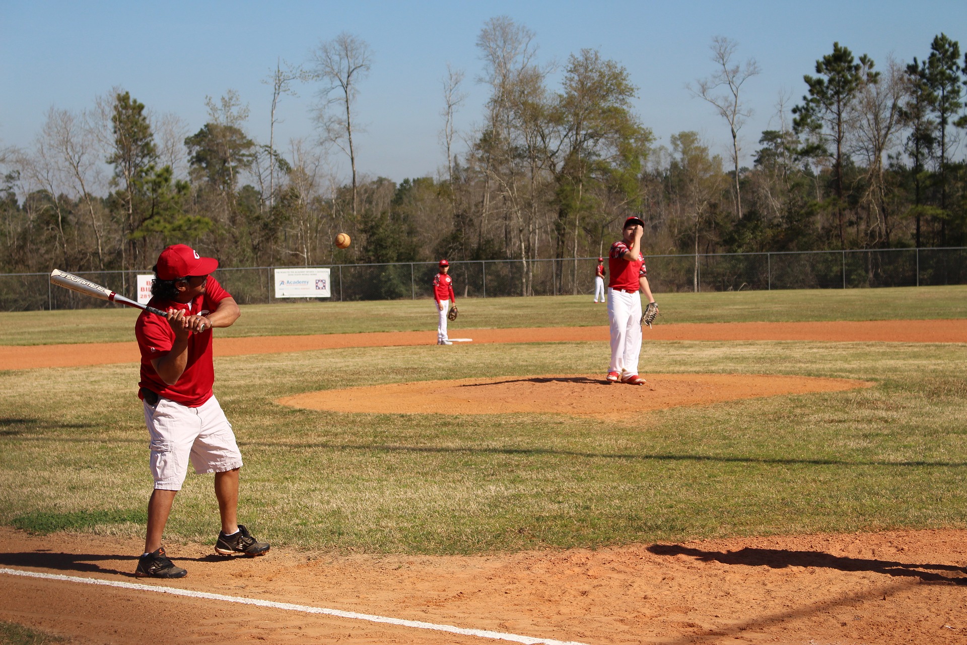 10 Best Fungo Bats for Baseball Practice & Training Dugout Debate